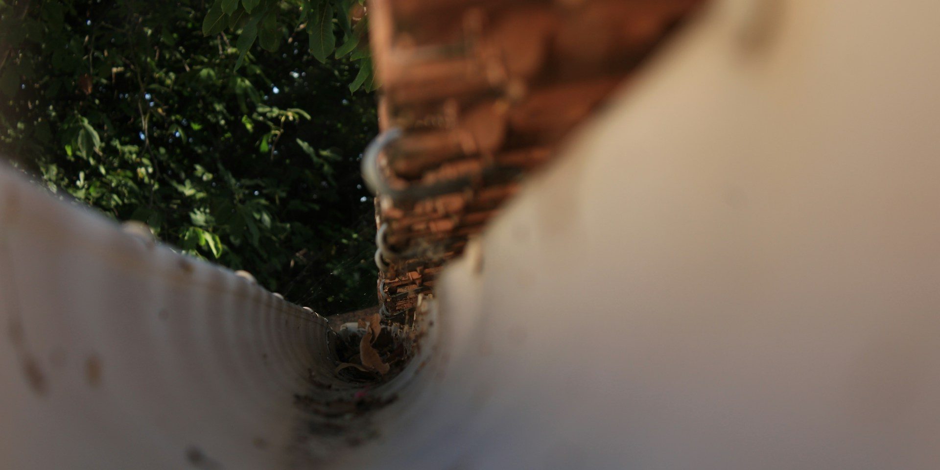 eleonore-gautier-dm2af7TOAXQ-unsplash