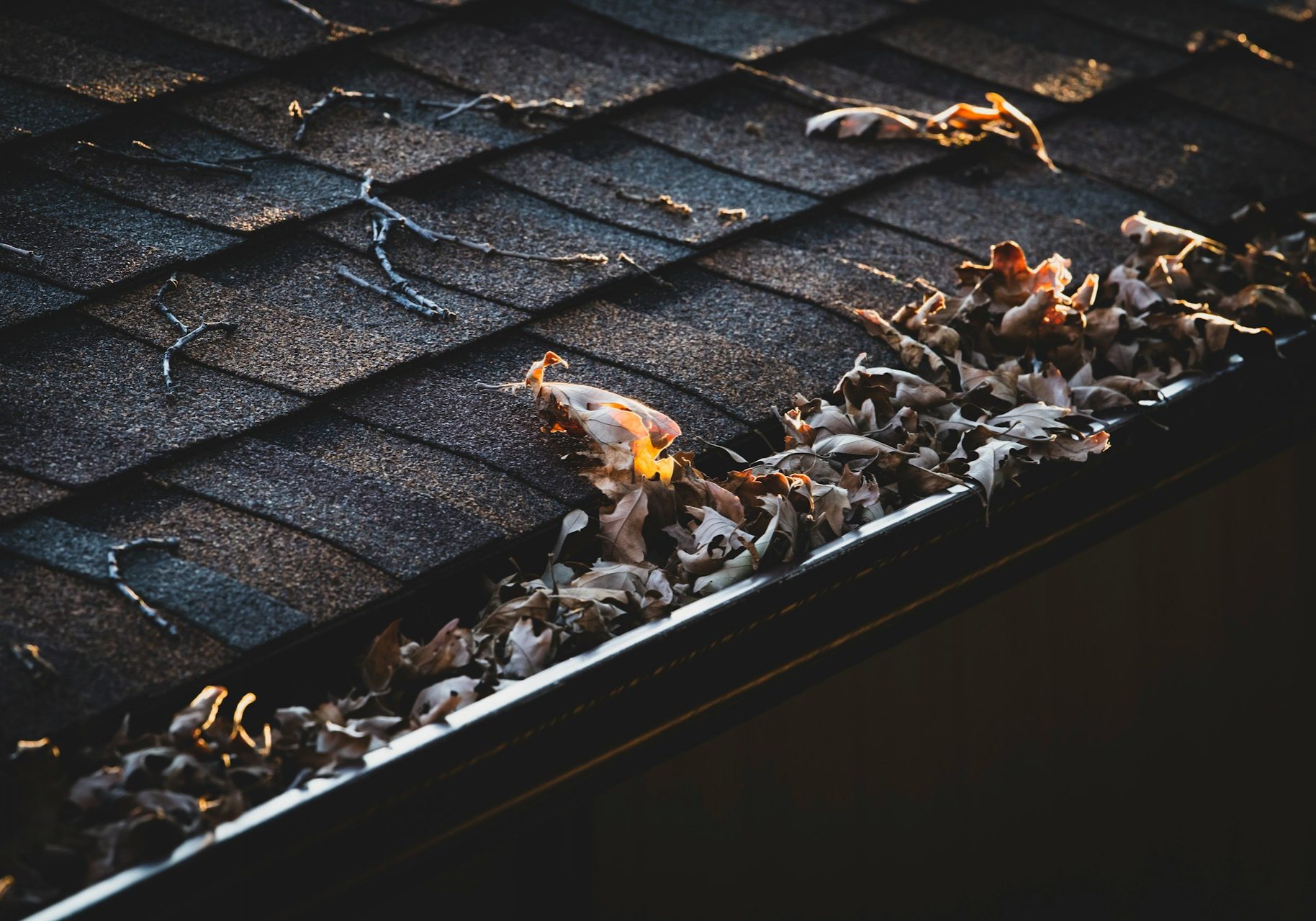 jon-sailer-fYwPrfAQcMo-unsplash